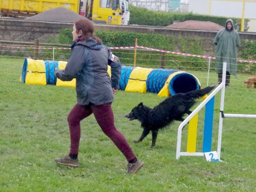 Concours d'agility, Barges, 31 mars 2024