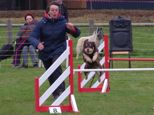 Concours d'agility, Barges, 1 avril 2018