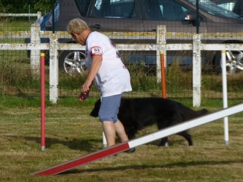 Concours d'agility, Montret, 30 juillet 2017