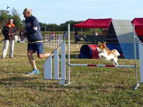 Concours d'agility de Fontaines, le 16 septembre 2018