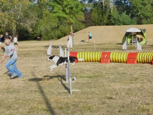 Concours d'agility de Fontaines, le 15 septembre 2019