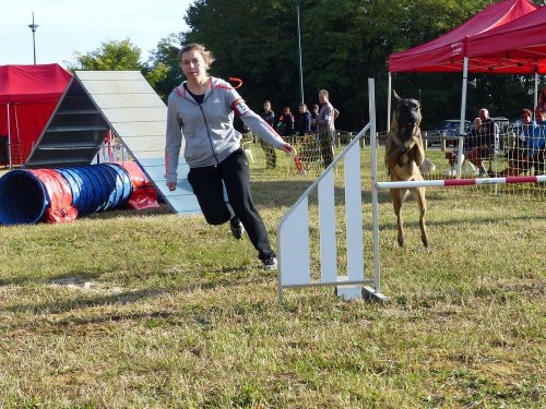 Concours d'agility de Fontaines, le 16 septembre 2018