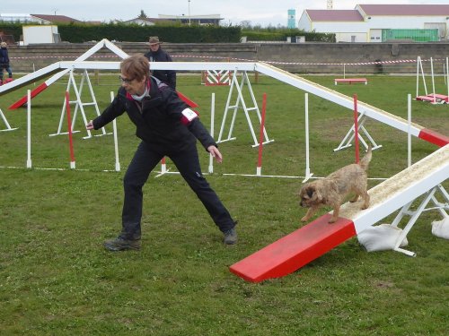 Concours d'agility, Barges, 1 avril 2018