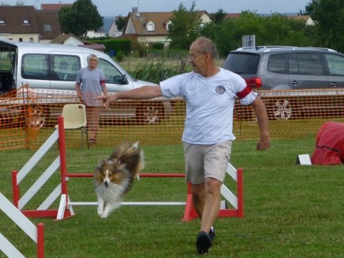 Concours d'agility, Sainte Marie la Blanche, 23 juillet 2017