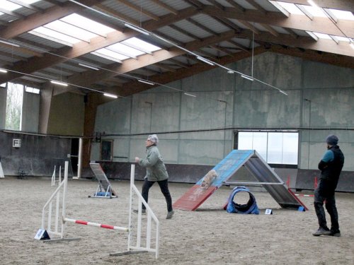 Concours d'agility, Dijon 8 décembre 2024