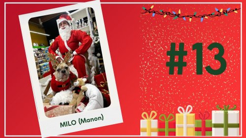 Concours photos 2024 : sur le thème de Noël