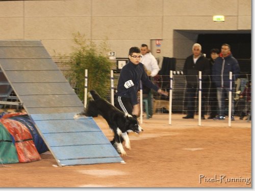 Concours d'agility, Le Creusot, 25 novembre 2018