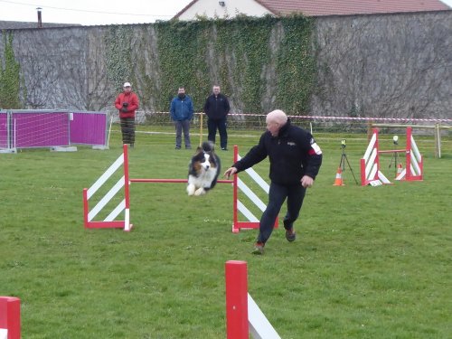 Concours d'agility, Barges, 1 avril 2018