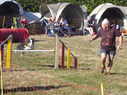 Concours d'agility, Autun, 9 septembre 2018