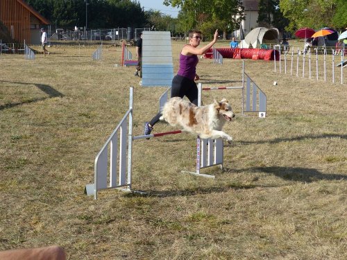 Concours d'agility de Fontaines, le 15 septembre 2019