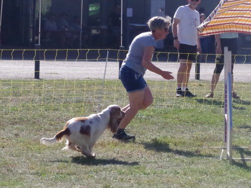 Concours d'agility, Fontaines, 9 et 10 septembre 2023