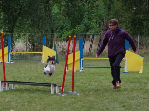 CAESC et Pass-agility Fontaines 17 septembre 2016