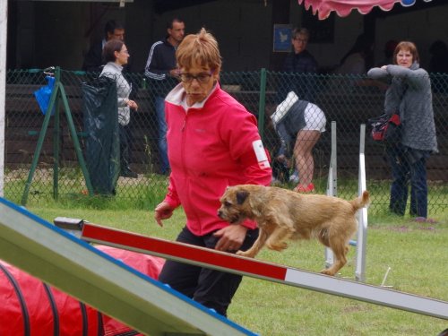 Concours d'agility, Daix, 17 juin 2018