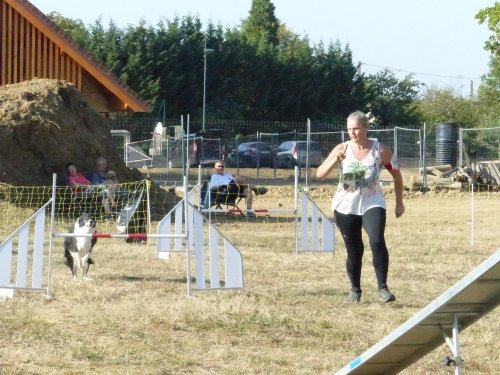 Concours d'agility de Fontaines, le 15 septembre 2019