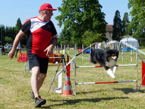 Concours d'agility de Fontaines, le 28 mai 2017