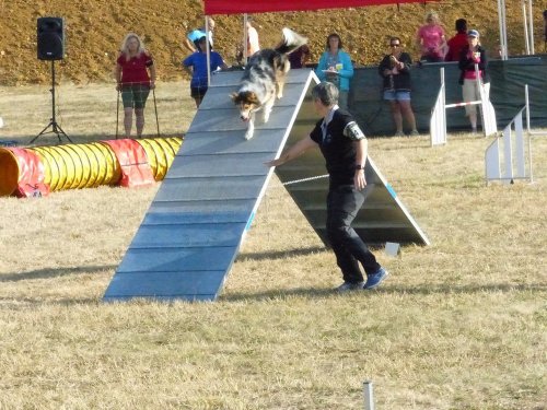 Concours d'agility de Fontaines, le 15 septembre 2019