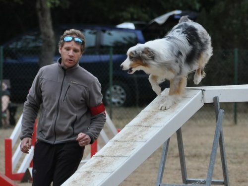 Concours d'agility, Nuits Saint Georges, 26 juillet 2015