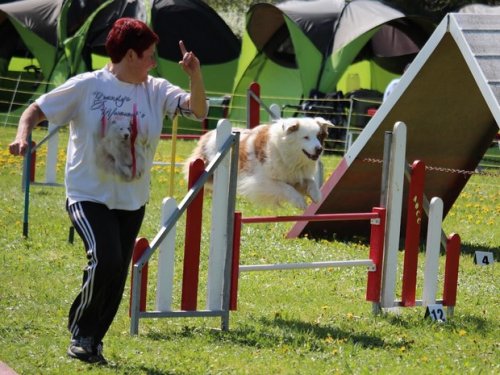 Premier concours d'agility de Fontaines, le 12 avril 2015