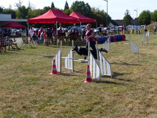 Concours d'agility de Fontaines, le 16 septembre 2018