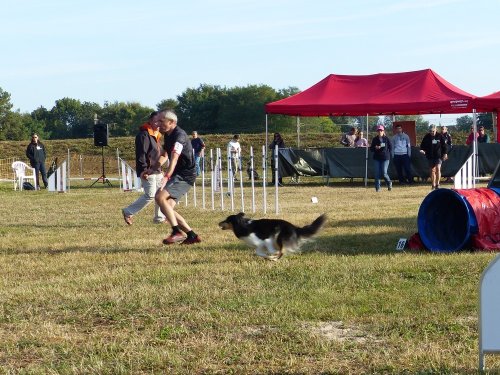 Concours d'agility de Fontaines, le 16 septembre 2018