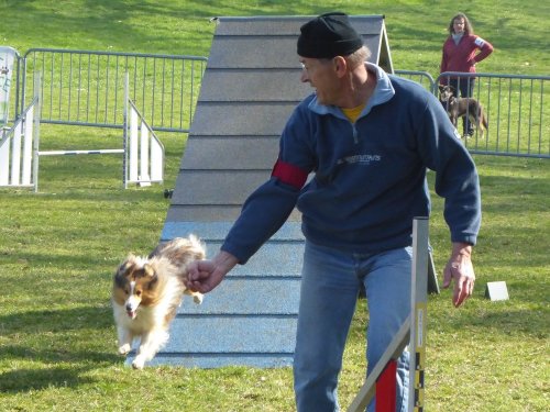 Concours d'agility, Le Creusot, 24 mars 2019