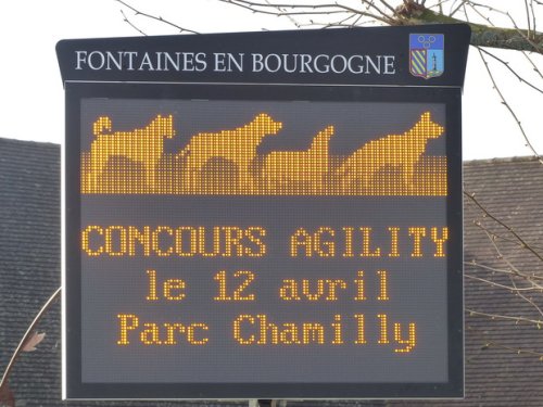 Premier concours d'agility de Fontaines, le 12 avril 2015