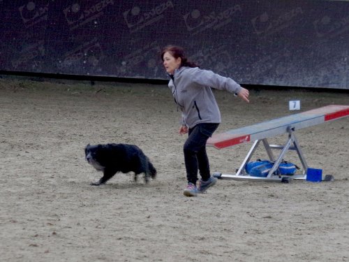 Concours d'agility, Dijon 8 décembre 2024