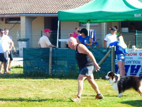 Concours d'agility, Montret, 29 juillet 2018