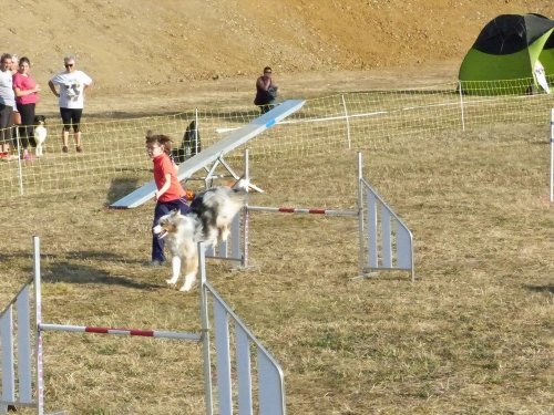 Concours d'agility de Fontaines, le 15 septembre 2019