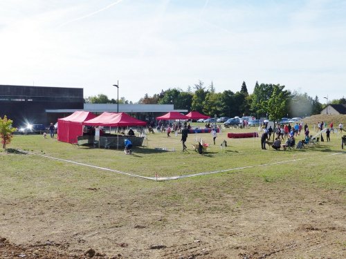 Concours d'agility de Fontaines, le 16 septembre 2018