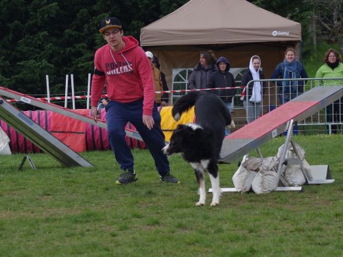 Concours d'agility, Gergy, 14 avril 2019