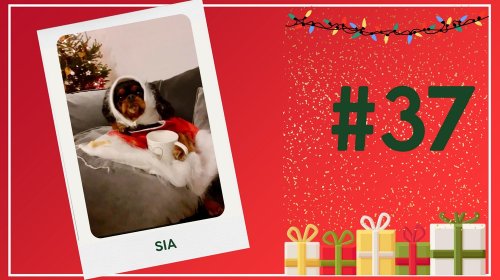 Concours photos 2024 : sur le thème de Noël
