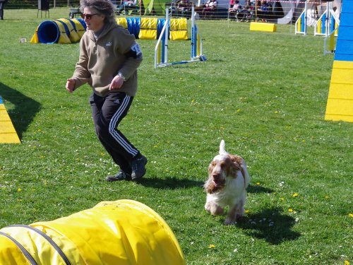 Concours d'agility, Barges, 9 avril 2023