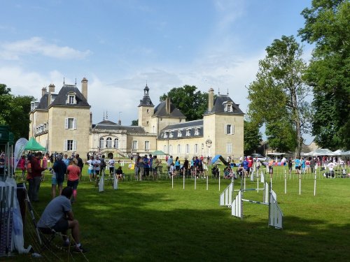 Sélectif au Trophée par équipe au château de la Loyère