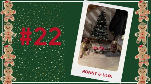 Concours photos 2024 : sur le thème de Noël