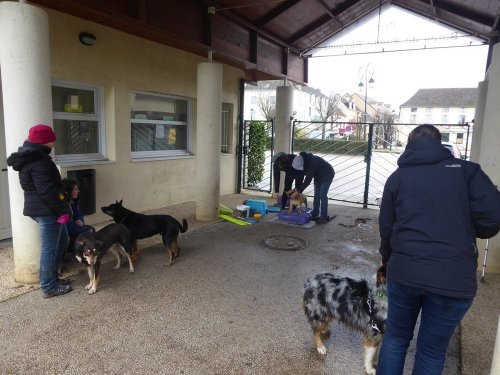 Stage de Fitness canin, 27 janvier 2019