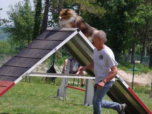 Concours d'agility, Messigny Vantoux, 12 et 13 mai 2018