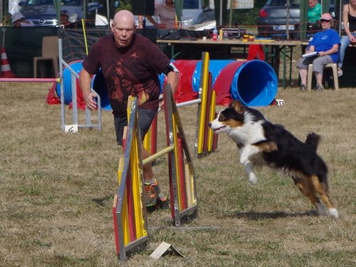 Concours d'agility, Autun, 9 septembre 2018