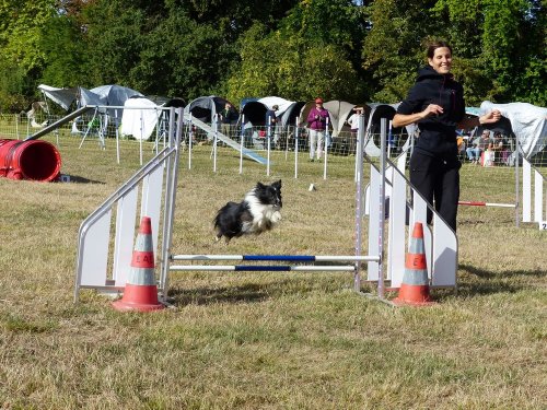 Concours d'agility de Fontaines, le 16 septembre 2018