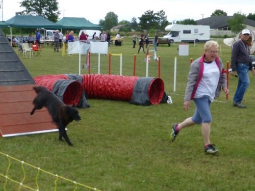 Concours d'agility, Magny sur Tille, 2 juillet 2017