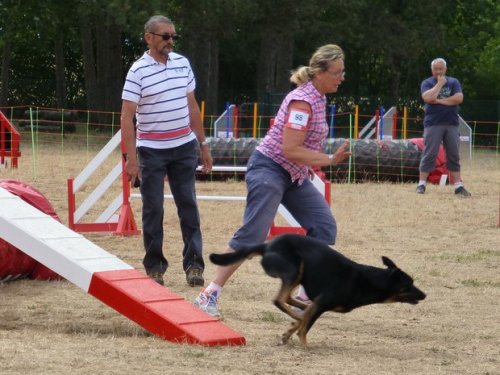 Concours d'agility, Nuits Saint Georges, 26 juillet 2015