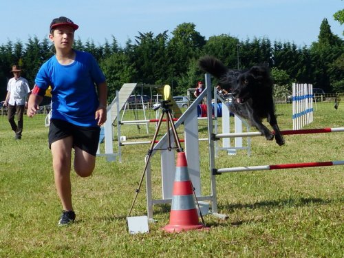 Concours d'agility de Fontaines, le 28 mai 2017