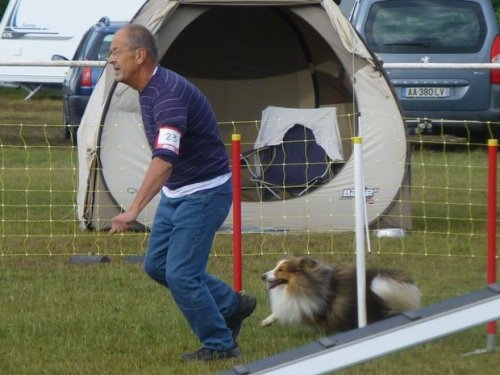 Concours d'agility, Magny sur Tille, 2 juillet 2017