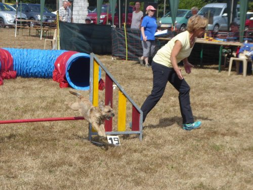 Concours d'agility, Autun, 9 septembre 2018