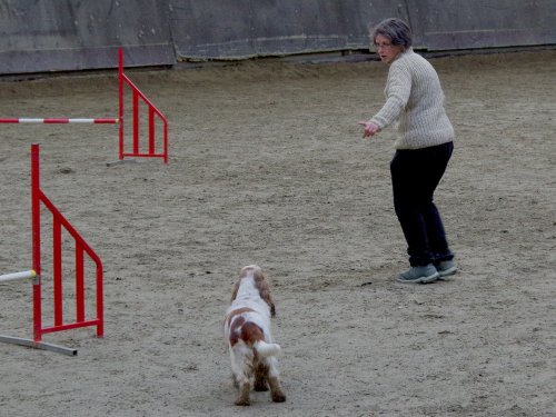 Concours d'agility, Dijon 8 décembre 2024