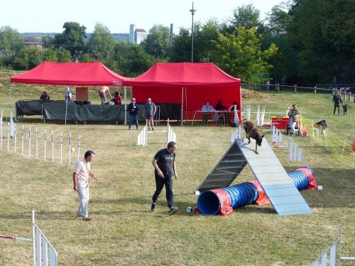 Concours d'agility de Fontaines, le 16 septembre 2018