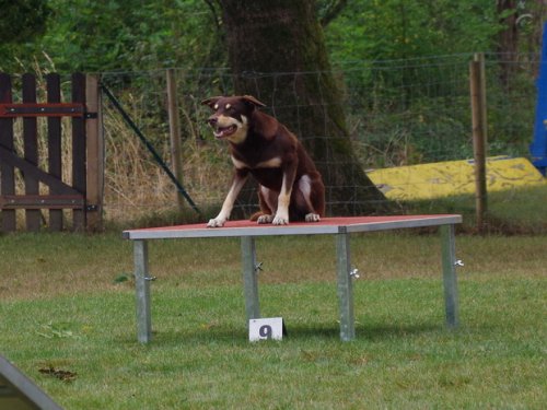 CAESC et Pass-agility Fontaines 17 septembre 2016