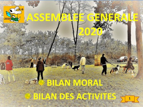 Bilan 2020 présenté lors de l'assemblée générale 2022