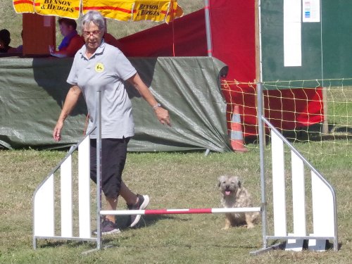 Concours d'agility, Fontaines, 9 et 10 septembre 2023