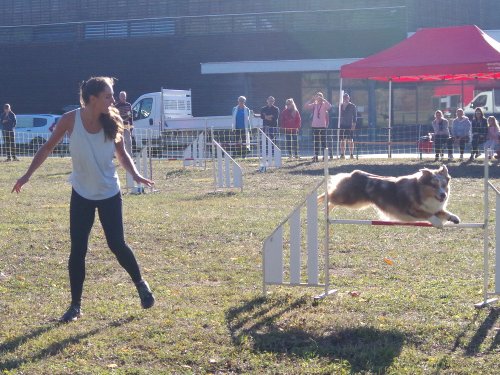 Concours d'agility, Fontaines 11 septembre 2022